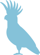 Bird icon