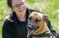 Person looking at a panting dog